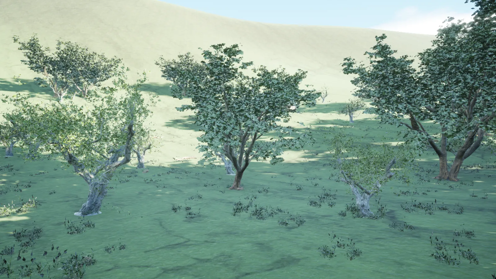 Trees on a grassy rise below the eastern mountains